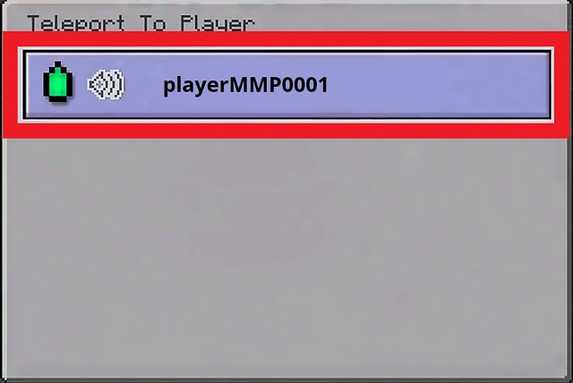Teleport to Player