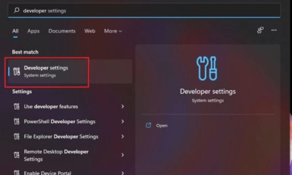 developer settings windows 11