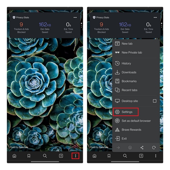 brave settings