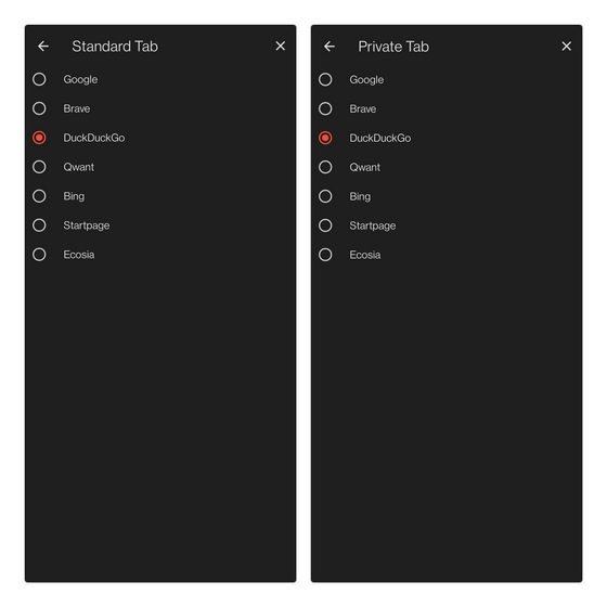 set standard or private tab brave
