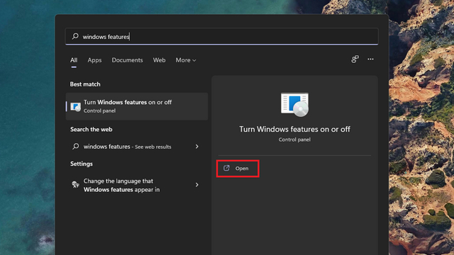 windows features settings