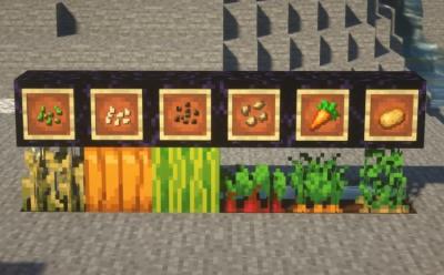 How to Get Seeds in Minecraft Easily in 2021