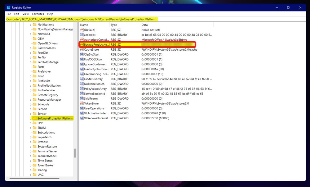 Microsoft Product Key in Registry editor