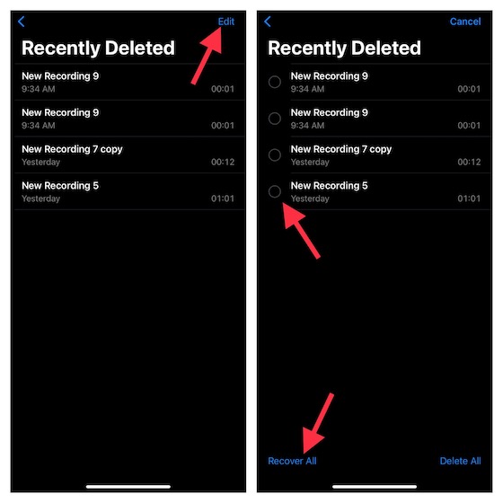 Recover Accidentally deleted recordings in Voice Memos app on iPhone