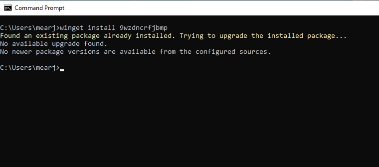 install ms store via winget
