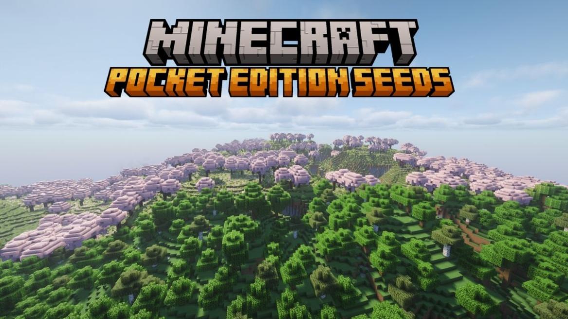 30 Best Seeds for Minecraft Pocket Edition