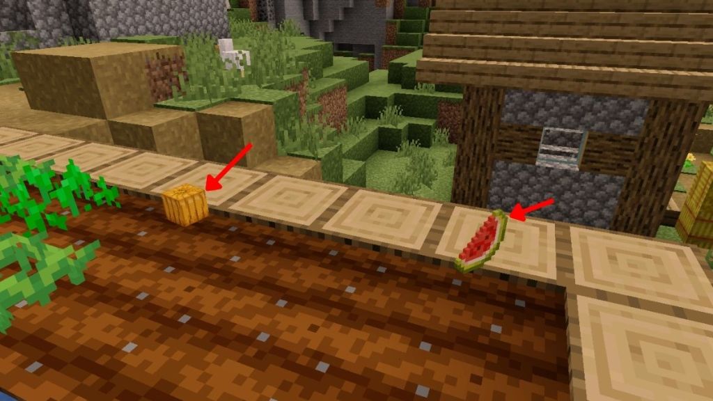 Dropped Melon and Pumpkin