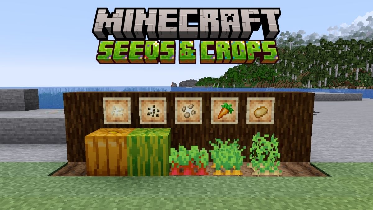 How to Plant Seeds and Grow Crops in Minecraft