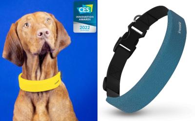 This Company Unveiled an Apple Watch-Like, Health-Focused Smart Collar for Dogs at CES 2022