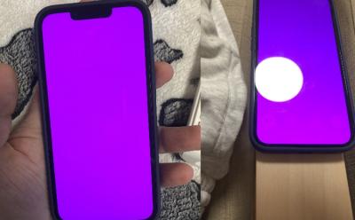 Many iPhone 13 Users Are Facing a Pink-Screen Issue; Apple Says That It Is a Software Bug