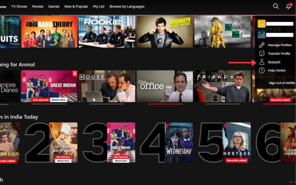 Netflix interface