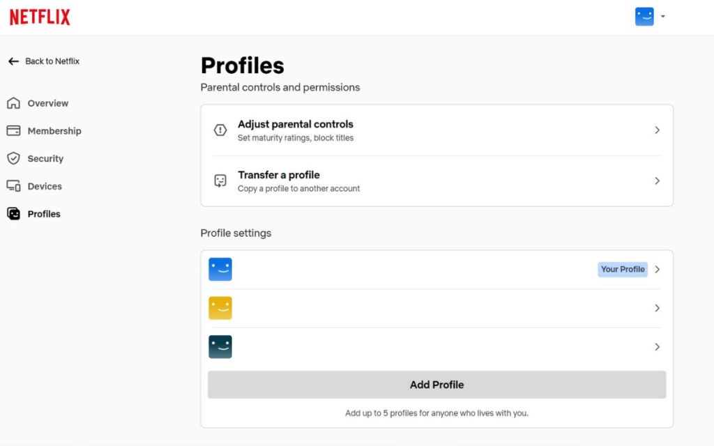 Select Netflix Profile