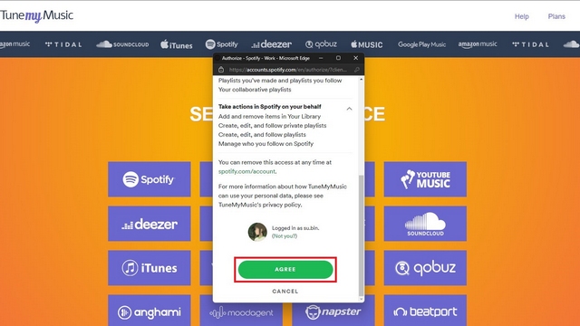 allow spotify access