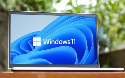 windows 11 february update