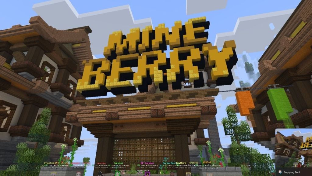 Mineberry Survival Server in Minecraft