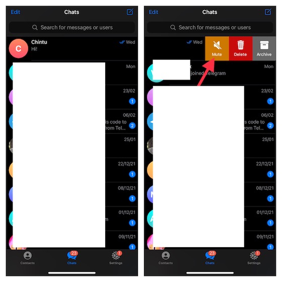 Mute Specific Telegram Chats on iPhone