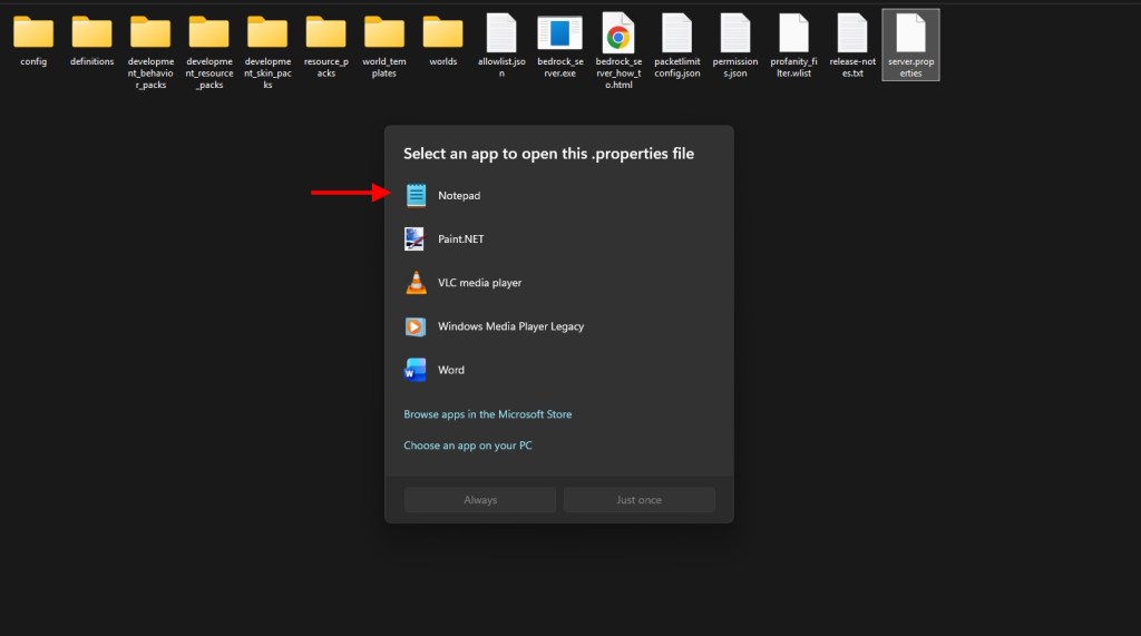 Open the server properties using notepad