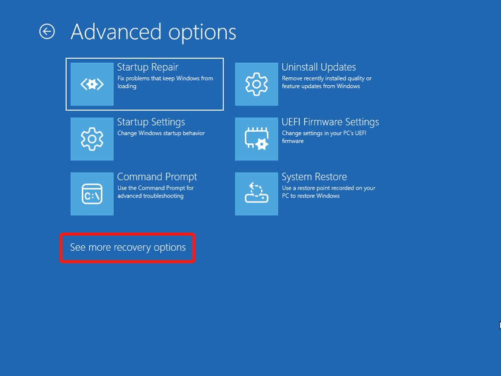 Windows Recovery Option See more recovery options option