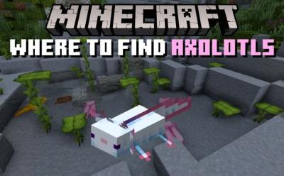 Where to Find Axolotls in Minecraft