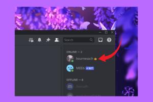 How to Remove the Crown Icon on Discord