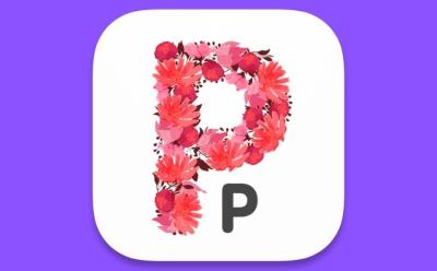 pure paste macos app