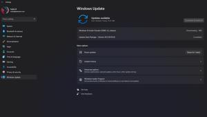 How to Switch from Windows 11 Dev Channel to Beta Channel Without ...