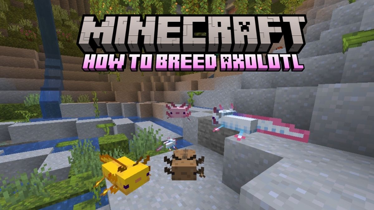 How to Breed Axolotl in Minecraft