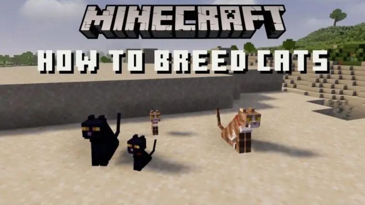 How to Breed Cats in Minecraft
