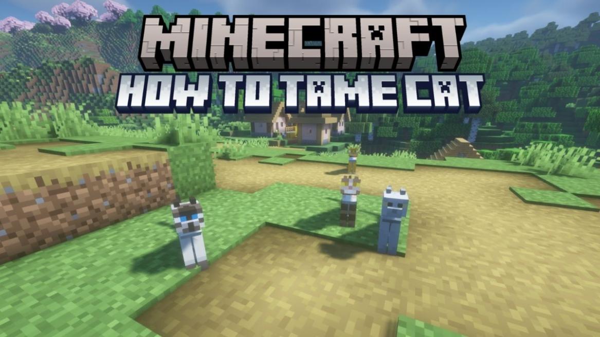 How to Tame Cats in Minecraft