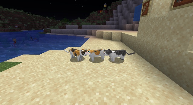 How to Tame a Cat in Minecraft Bedrock and Java Edition (2022) | Beebom