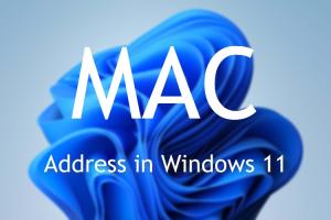 How to Find Your MAC Address in Windows 11 (5 Methods)