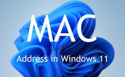How to Find Your MAC Address in Windows 11: 5 Different Methods