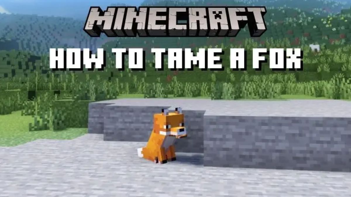How to Tame a Fox in Minecraft Java and Bedrock