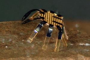 This Is the World's Smallest Remote-Controlled Robot That Looks like a Tiny Crab!