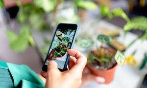 Best Plants Identifier Apps in 2026, Tested on Real Plants (Free & Paid)
