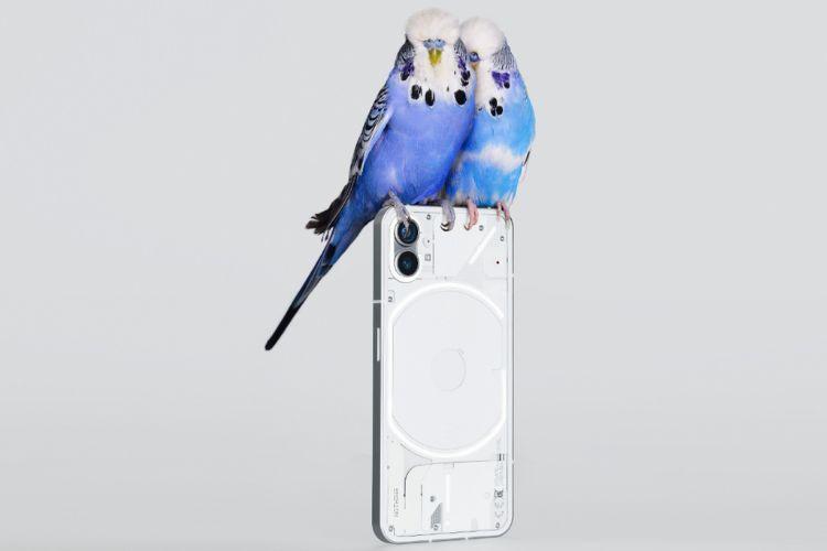 Nothing phone (1) with Transparent Design, Snapdragon 778G+ SoC ...