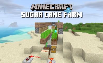 How to Make a Sugar Cane Farm in Minecraft