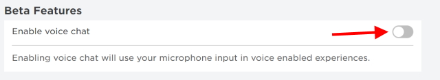 enable voice chat roblox