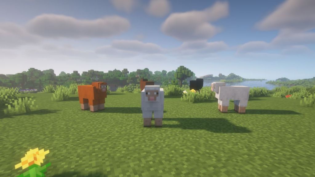 How to Get Wool (Shearing vs. Killing)