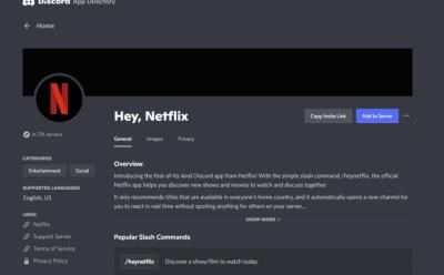 official netflix discord bot
