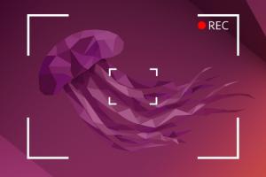 8 Best Screen Recorders For Linux