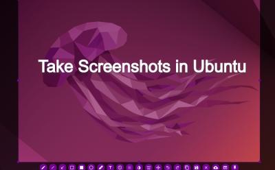 How to Take a Screenshot in Ubuntu (5 Easy Ways)