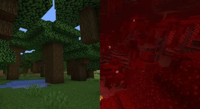 Two Forests of Minecraft - How to Change Biomes in Minecraft