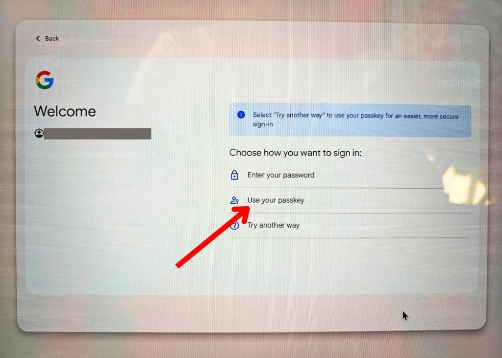 use your passkey option in Google account page