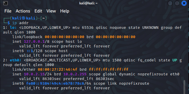 showing the ip address using ip comand