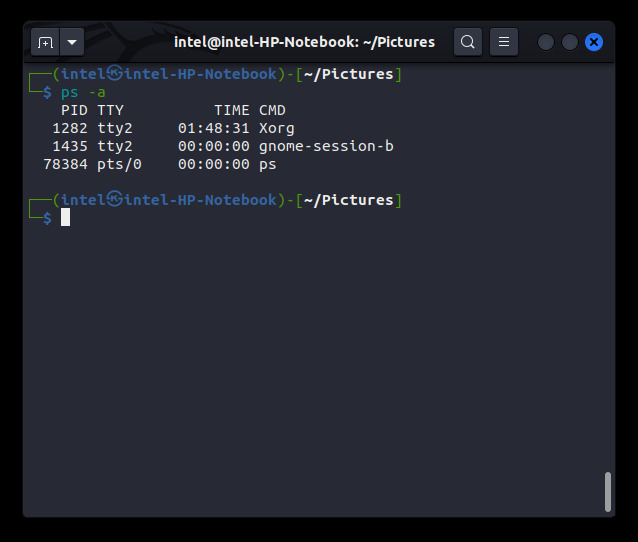 showing running processes using ps command