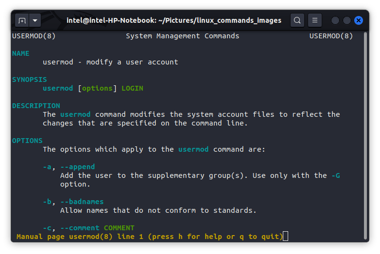 50+ Essential Linux Commands You Should Know | Beebom