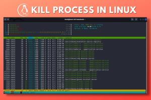 How to Kill a Process in Linux