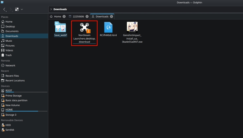 Nonsteamgameslauncher in Downloads