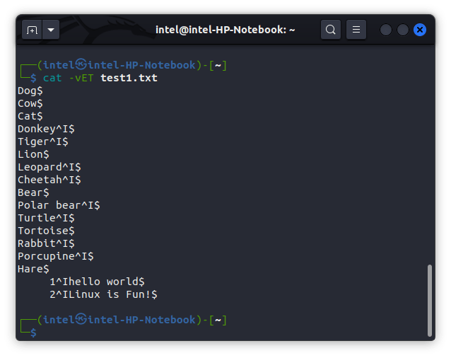 display invisible characters using the cat command